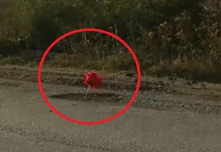 Засадиха цветя в изпълнен с дупки основен път у нас ВИДЕО