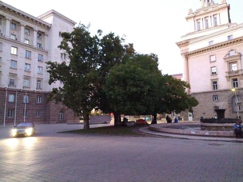 Мистични СНИМКИ: Пореден протест в София, въстаниците са неоткриваеми 