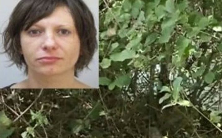 Прокуратурата с извънредни новини за нарязаната и заровена край Радомир жена