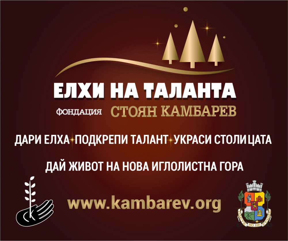 Елхите на таланта на Фондация "Стоян Камбарев" се завръщат отново, сбъдвайки коледни мечти!