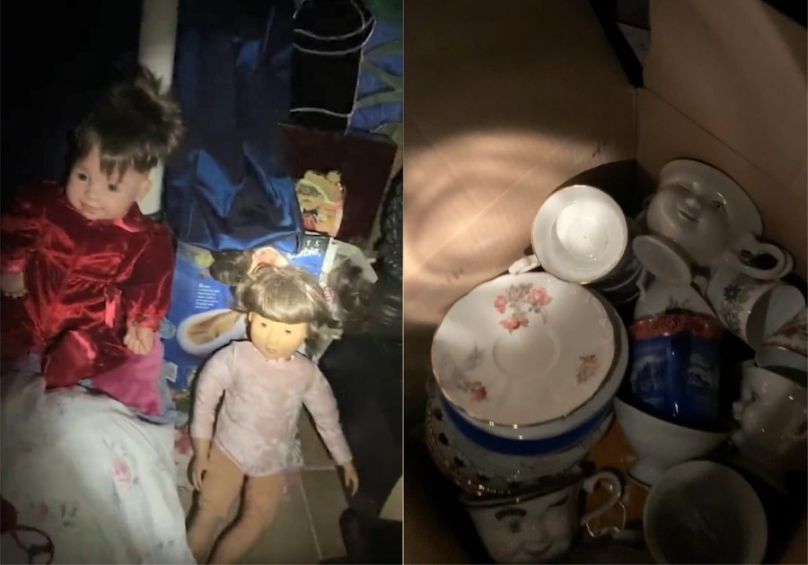 Жена откри тайно помещение в къщата си и закрещя от ужас, като видя какво има там ВИДЕО