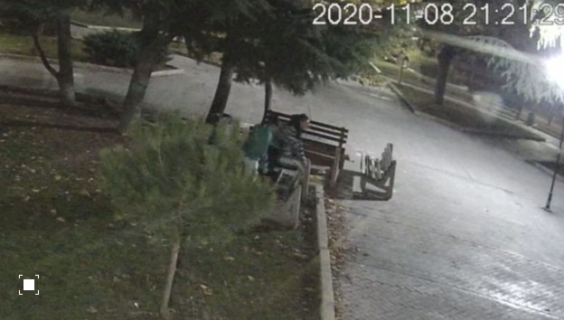 Камера засне диваци в бургаски парк