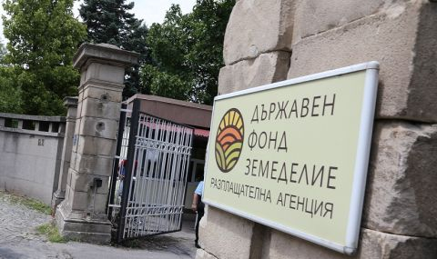Изтича срокът за заявления за държавна помощ заради загуби от бедствия