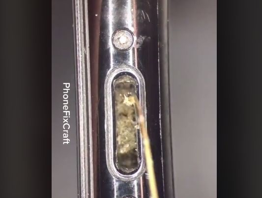 ВИДЕО показа нагледно колко много мръсотия има в нашите мобилни устройства