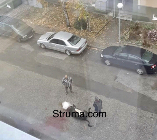 Потресаваща гледка стресна жителите на Гоце Делчев тази сутрин СНИМКА 