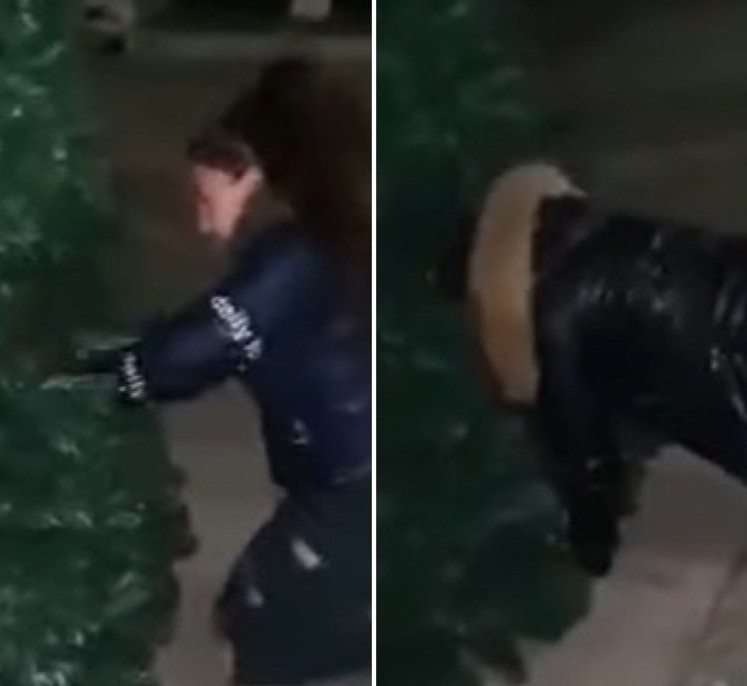 Какви ги вършат? Момичета се навряха под елхата в Роман и вбесиха кмета ВИДЕО