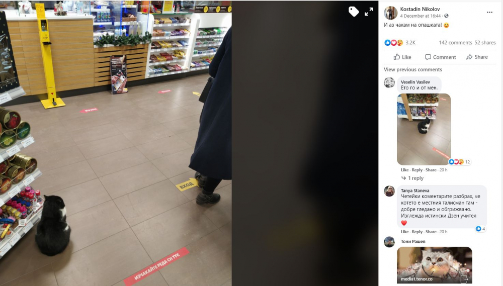 Цялата мрежа полудя по тази котка от софийска бензиностанция СНИМКИ