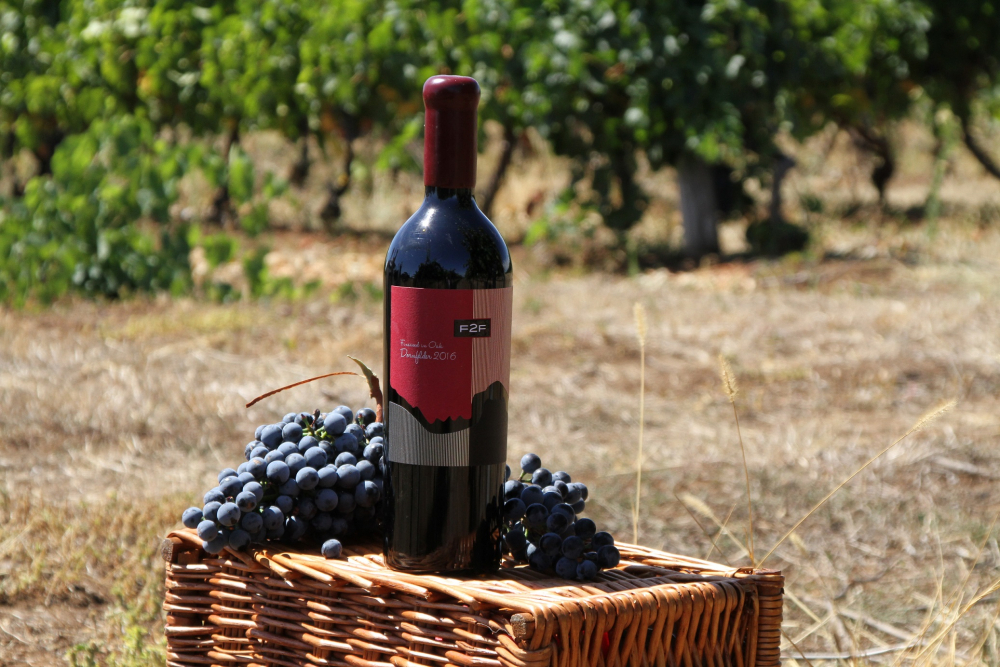 New Bloom Winery с награда от конкурса "Енолог на годината"