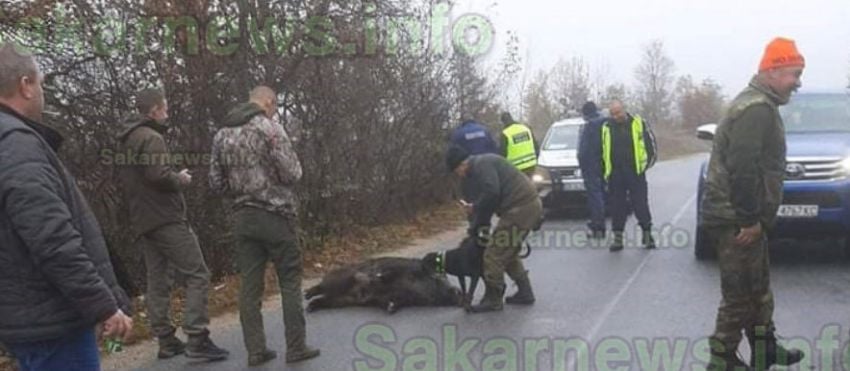 Екшън с ловджии от две дружинки и глиган СНИМКА