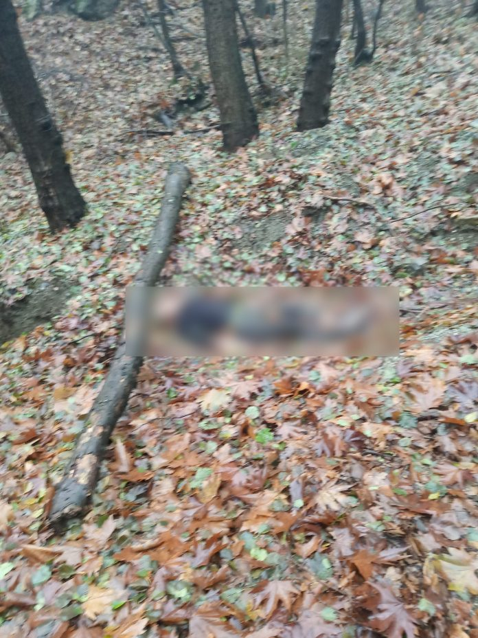 Асеновградчанин се вцепени от зловеща находка в Аман дере СНИМКА 18+