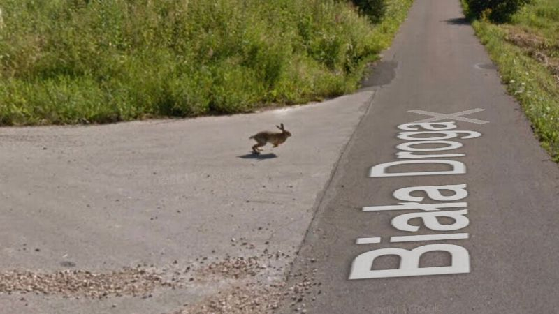 Грешка в матрицата: Google maps засне заек, който хвърчи високо в небето ВИДЕО