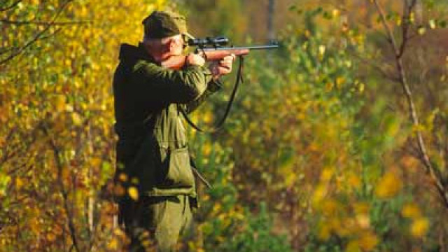 Този виц ще ви оправи настроението: Ловец разказва на колега как е свалил мечката