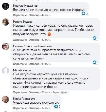 Чудовищна жестокост към бездомни кучета в Родопите взриви мрежата СНИМКИ 18+