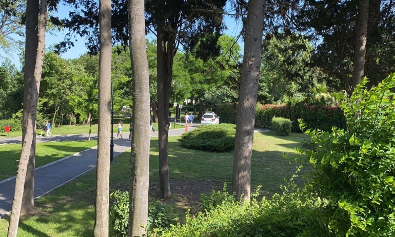 Скандал във Варна: ДБ напъва общината да изкупи парцели за милиони от реститути в Морската градина?