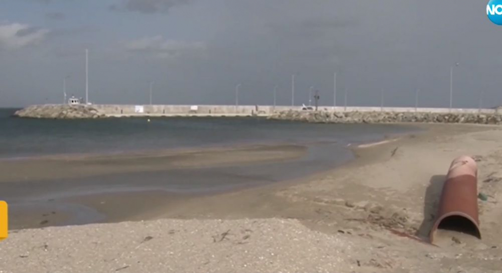 Свинщина на плажа в Крайморие ВИДЕО