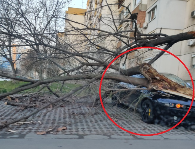 Софиянец видя колата си днес и му се дорева СНИМКА