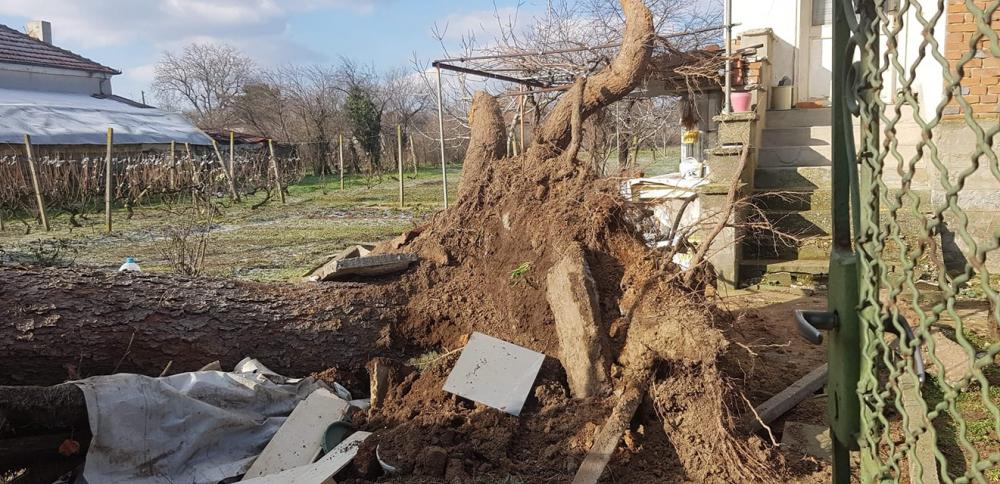 Ураганен вятър вилнее със страшна сила в страната, помита всичко по пътя си ВИДЕО