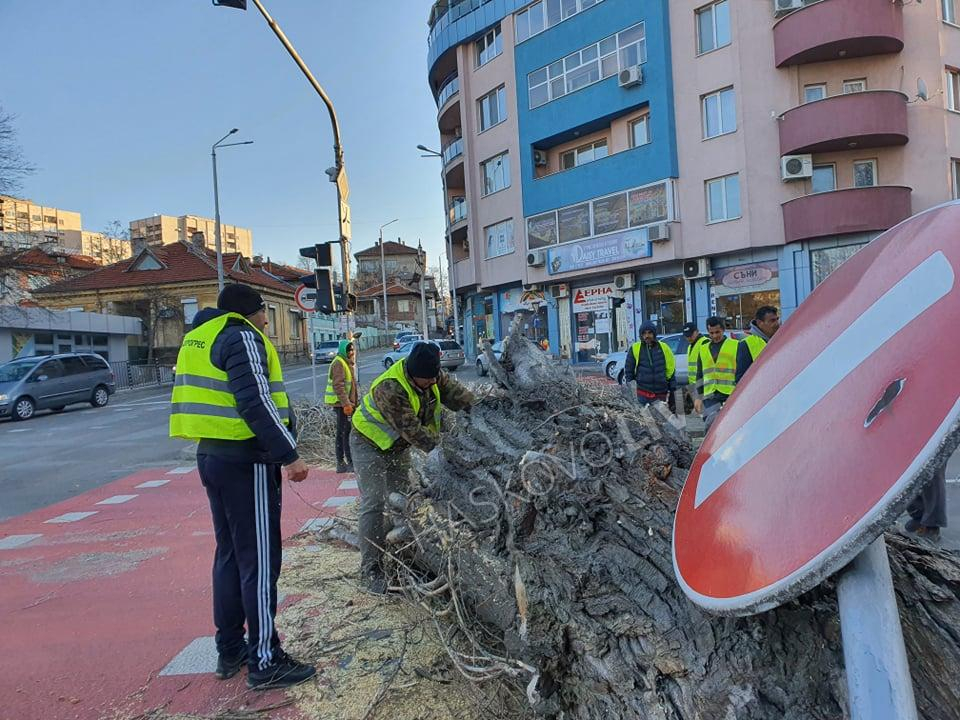 Ураганен вятър вилнее със страшна сила в страната, помита всичко по пътя си ВИДЕО