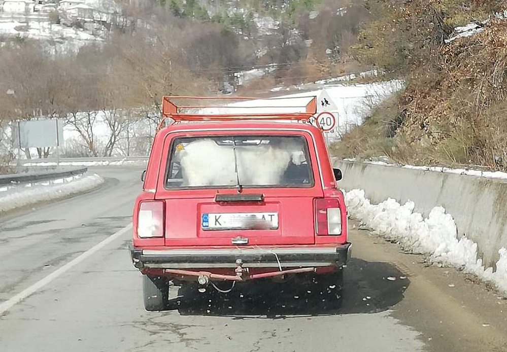 Соц „Лада“, пътуваща към Смолян, побърка всички, които я видяха СНИМКА