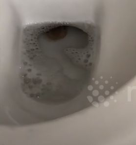 Мъж откри жива кобра в тоалетната си ВИДЕО 