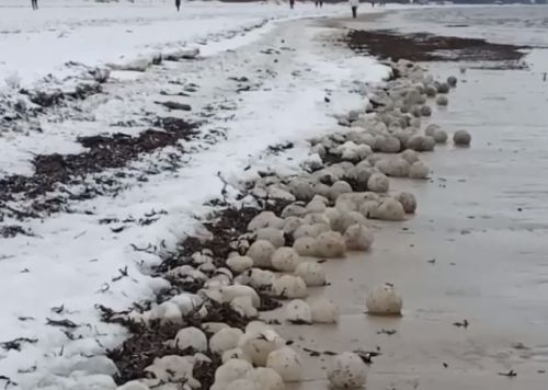 Огромен феномен на плаж в Латвия изуми всички ВИДЕО