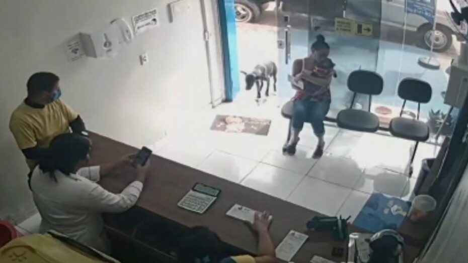 Трогателно ВИДЕО: Бездомно куче дойде в клиника и протегна ранената си лапа