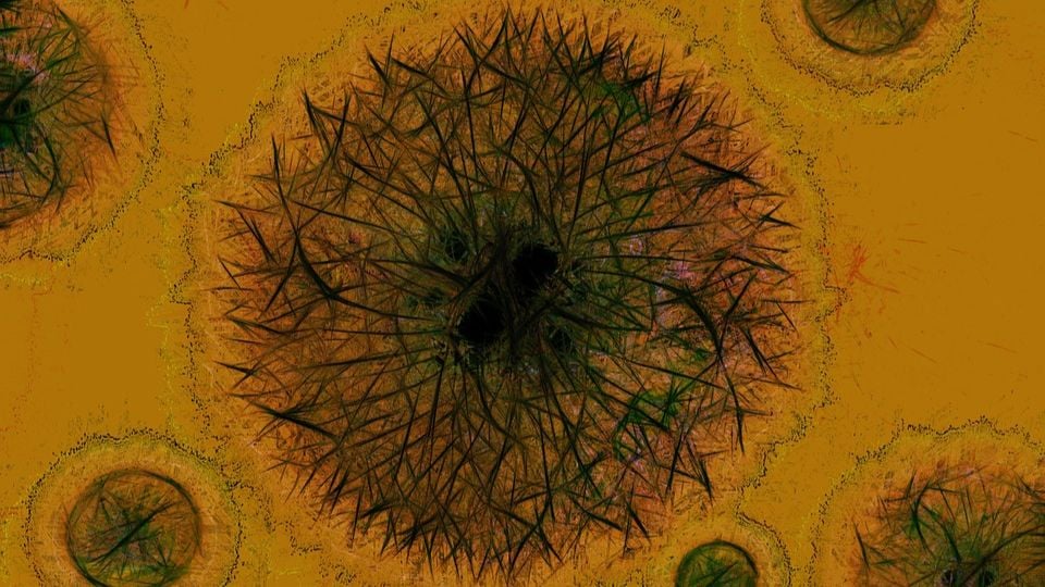 Неизвестна зараза върлува в Африка, вече има жертви