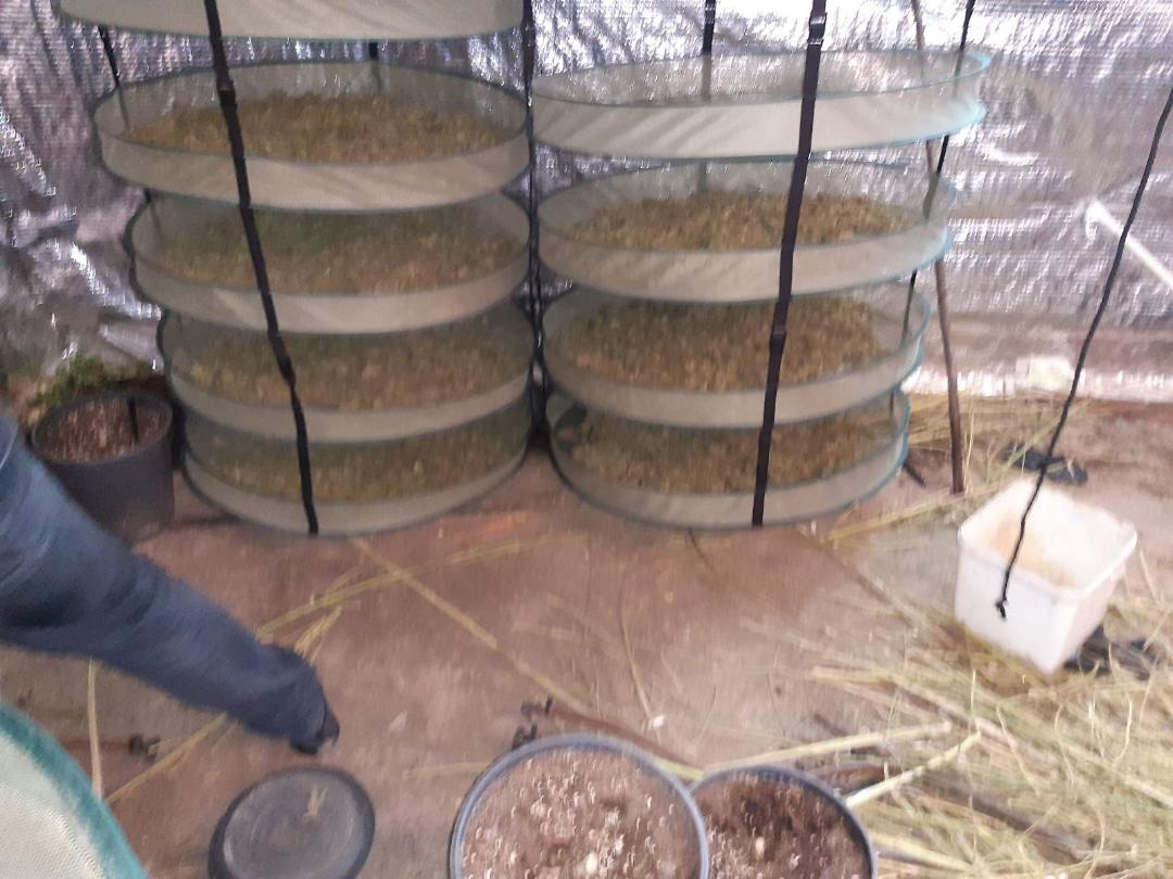 Полицията показа СНИМКИ от наркооранжерия на Живко в Ясна поляна