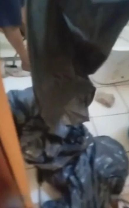Гангстери убиха и разчлениха русокоса красавица с усмивка на лице, а после... СНИМКИ 