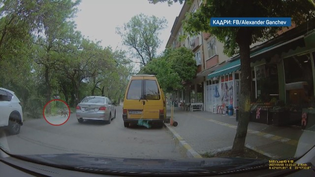 Тъжна и шокираща гледка след бял джип насред София СНИМКИ