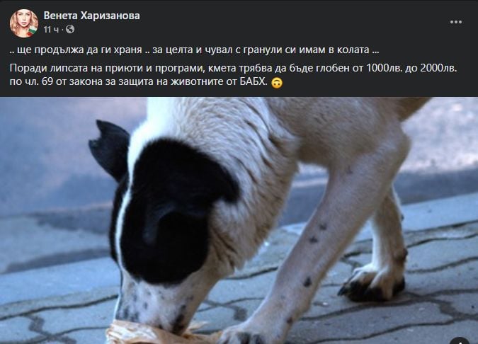 Пиарката на Слави избесня и се закани на кмет