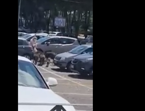 Глигани обградиха жена край супермаркет, а последвалото е шокиращо ВИДЕО