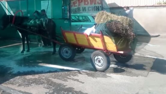 Не е за вярване какво направи циганин с каруца на автомивка в Поморие ВИДЕО 