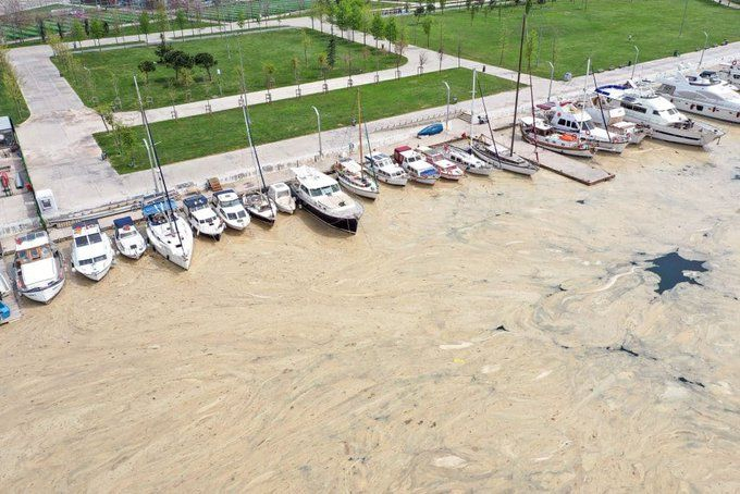Зловещи кадри от Мраморно море край Истанбул ВИДЕО