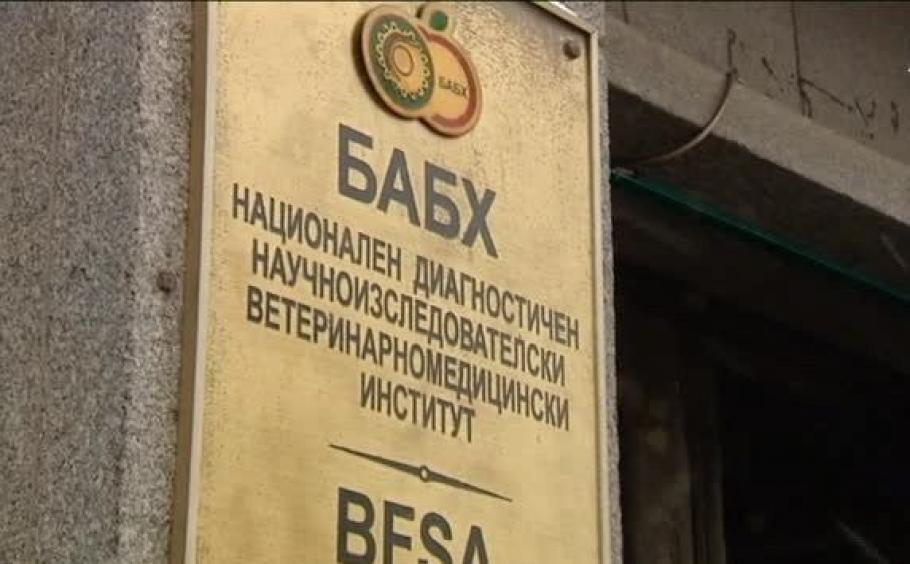 Рокади и в БАБХ, начело застава...