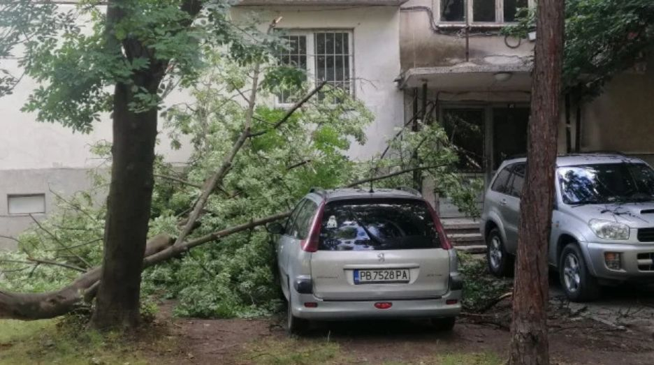 Ужас! Десетки на косъм от смъртта в Пловдив СНИМКИ