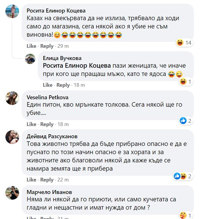Шок и ужас в "Люлин"! Софиянци се чудят откъде изпълзя тази твар СНИМКИ