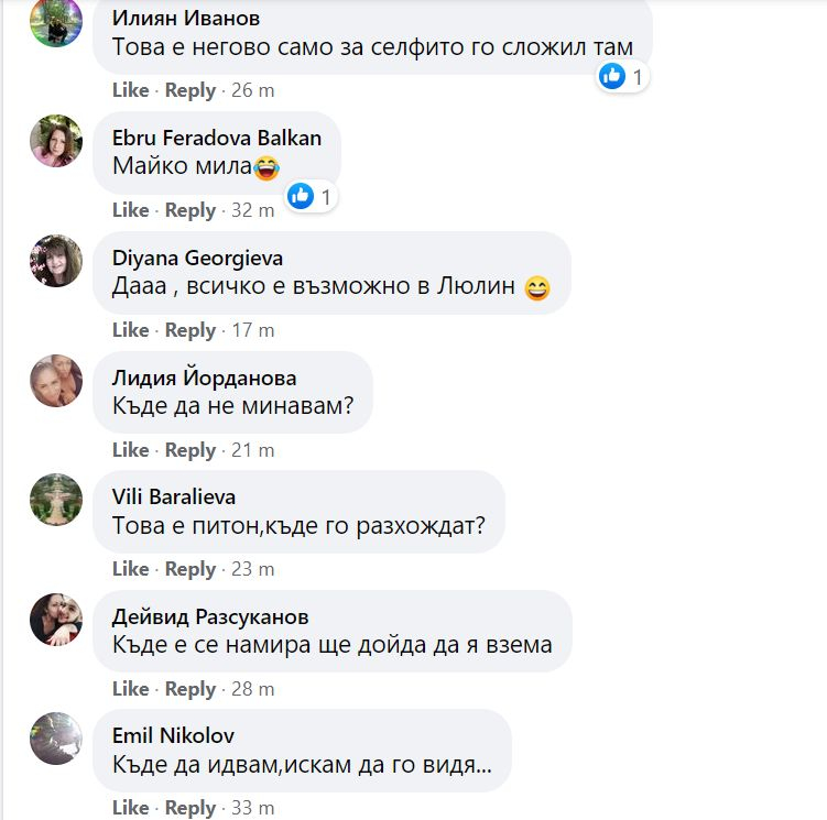 Шок и ужас в "Люлин"! Софиянци се чудят откъде изпълзя тази твар СНИМКИ