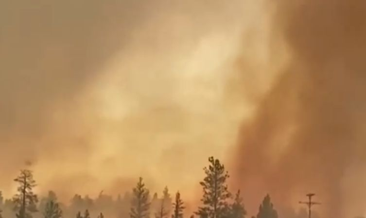 Рядка огнена стихия помете Калифорния ВИДЕО 