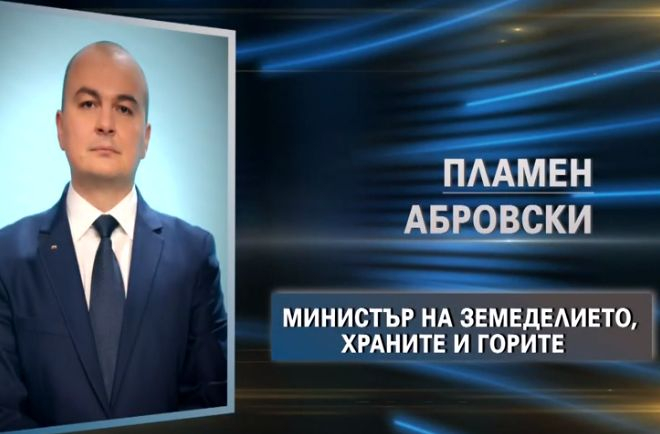 Това са премиерът и министрите в правителството, което Трифонов предлага СНИМКИ