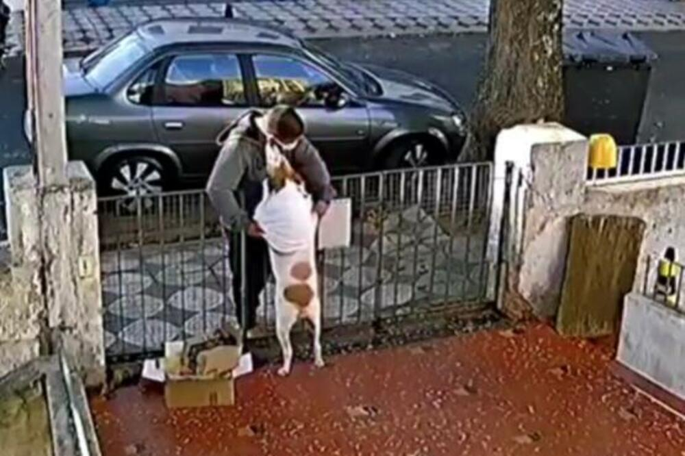 Смях: Не е за вярване какво направи този мъж на кучето ВИДЕО