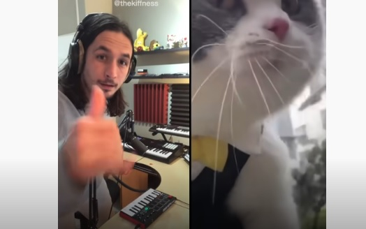 Невероятен музикален шедьовър с мяукаща котка ВИДЕО
