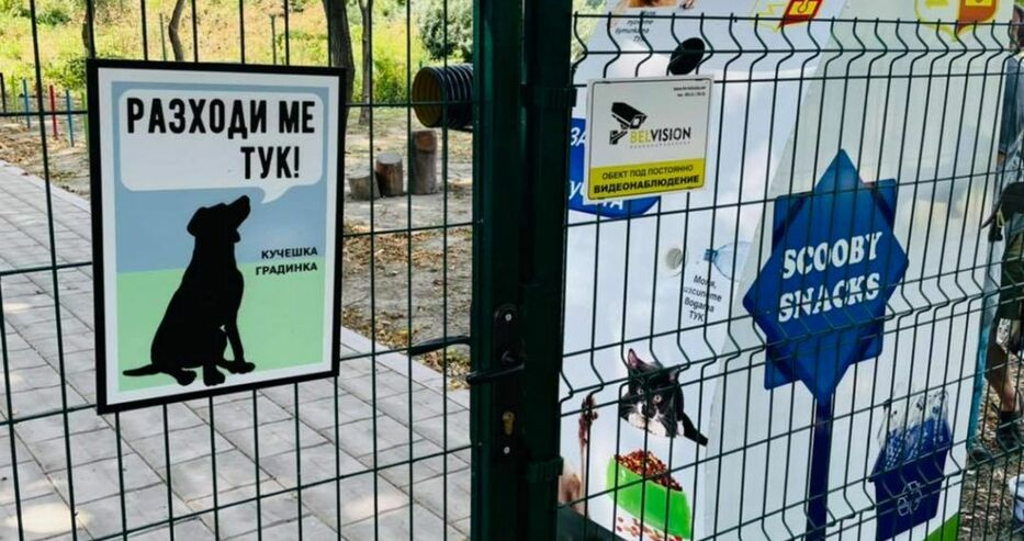 Добрата новина за хора със сърца дойде от Белослав СНИМКИ