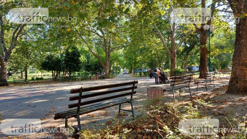 Пловдивски шофьор скандализира всички с наглата си изцепка в парка СНИМКИ 