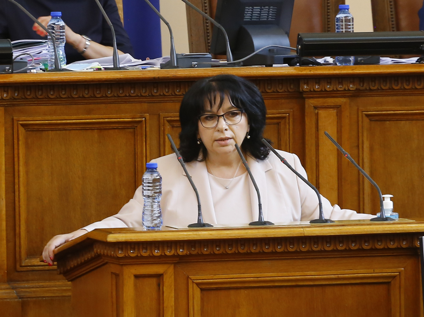Теменужка Петкова: Жаждата за власт ли крепи управляващата коалиция