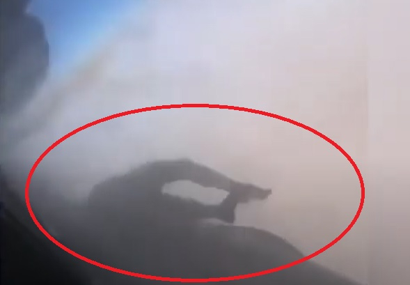 Ново ужасяващо ВИДЕО от Афганистан смрази света