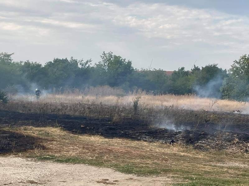 Голям пожар избухна край Хърлец СНИМКИ