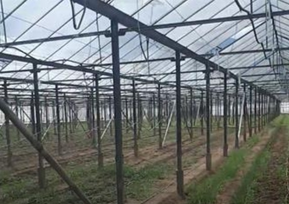 Пореден удар по наркомафията в Петрич, има арести 