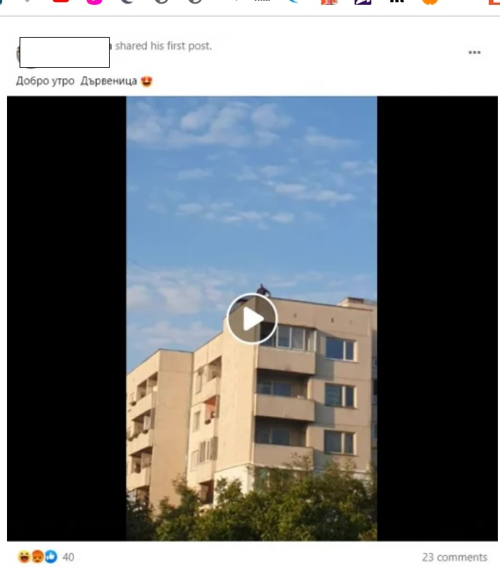 ВИДЕО от столичния ж. к. "Дървеница" подпали мрежата: Какво правят тези хора на покрива 