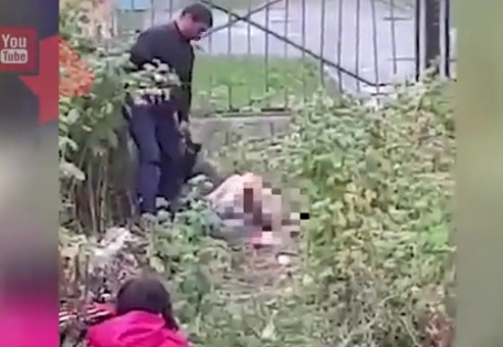 Шокиращо ВИДЕО 18+: Двойка прави секс до детска градина пред децата 